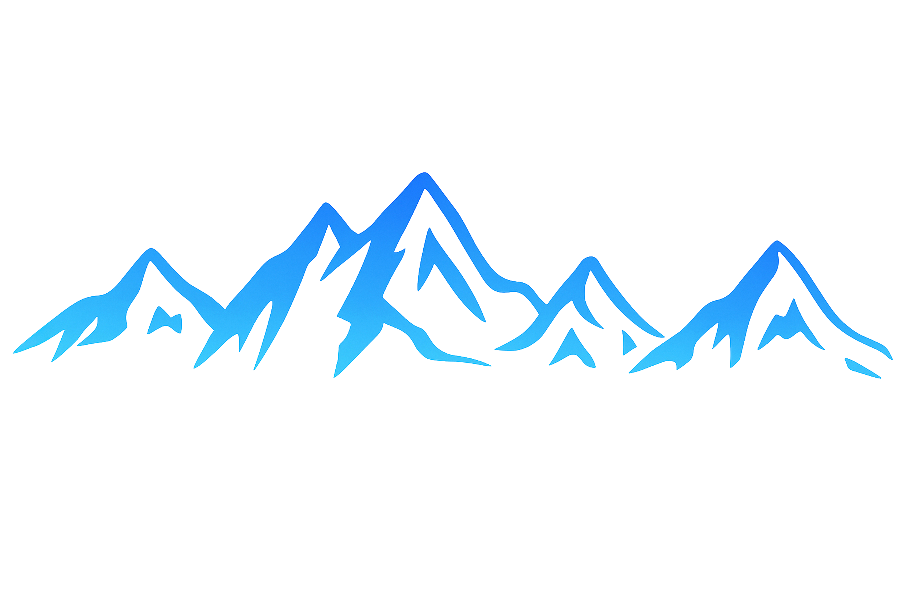 Partner brand 2